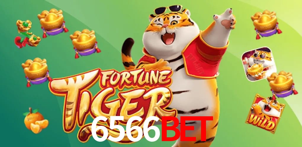 Player Reviews 6566Bet